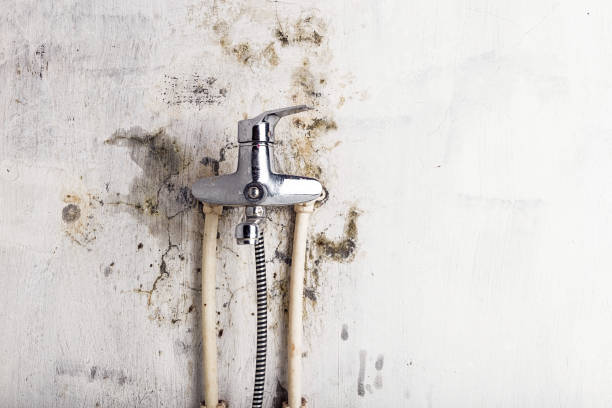 Best Mold Testing  in Hanford, CA
