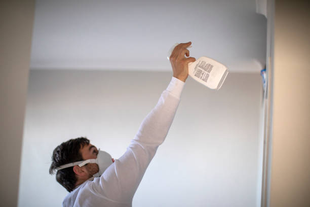 Best Mold Cleaning Services  in Hanford, CA