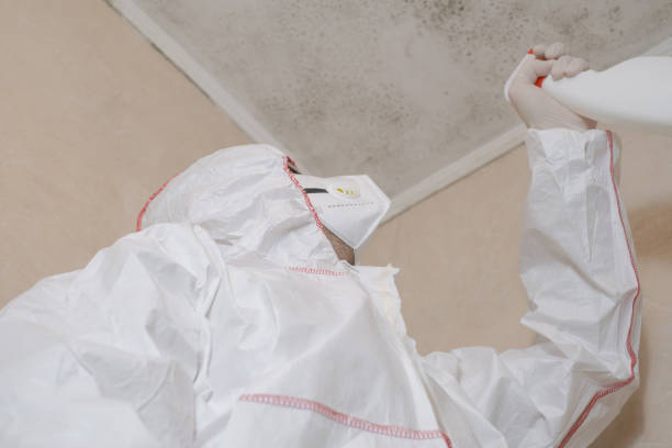 Trusted Hanford, CA Mold Removal Experts