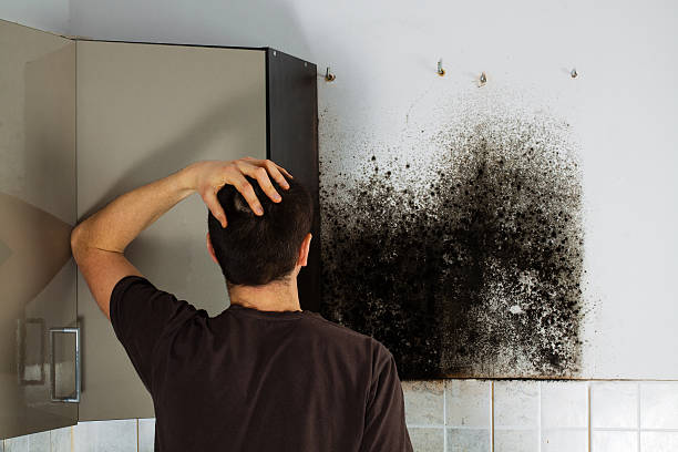 Best Office Mold Removal Services  in Hanford, CA